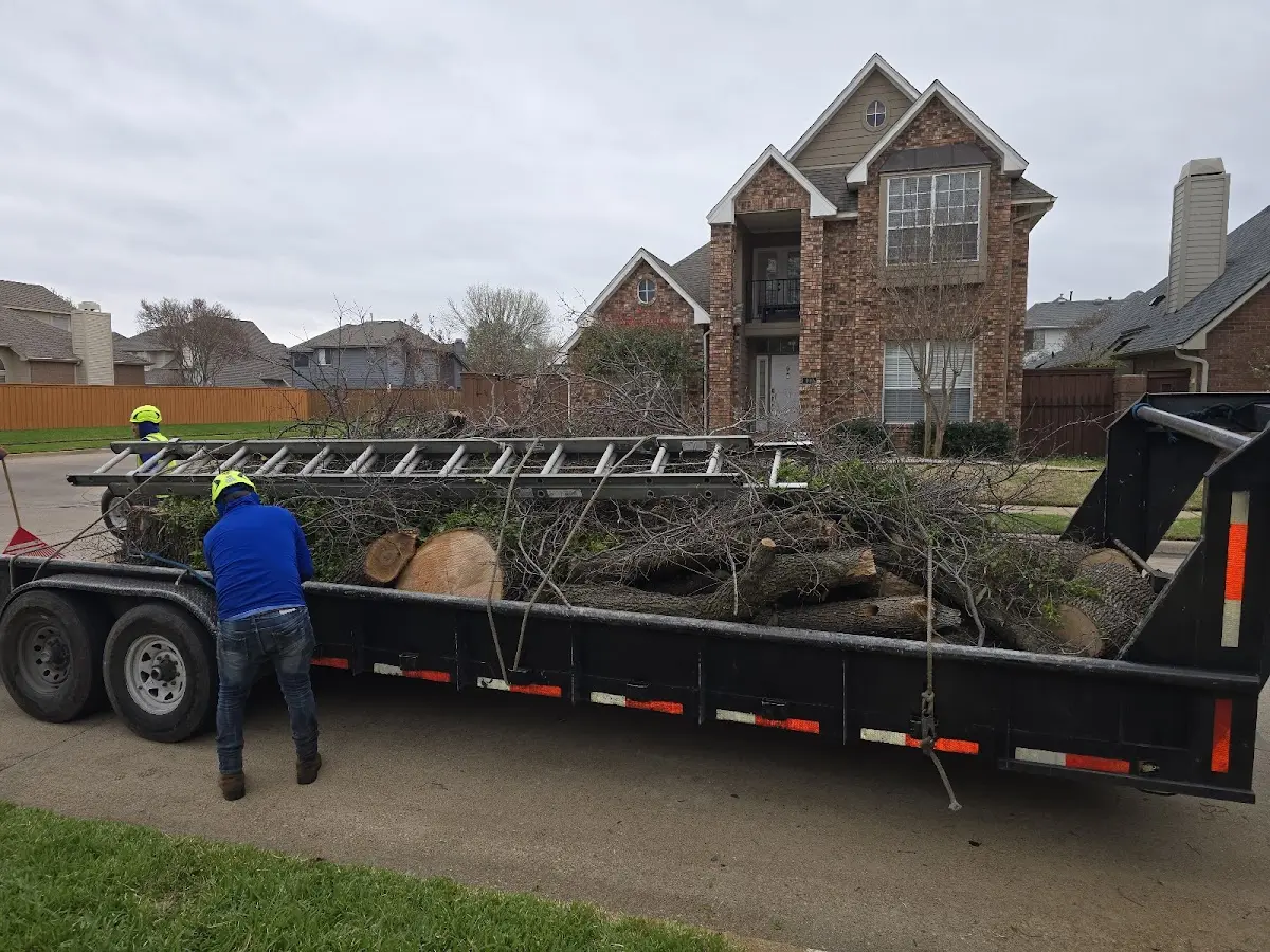 Expert Tree Pest Control with proper safety equipment in Oswego